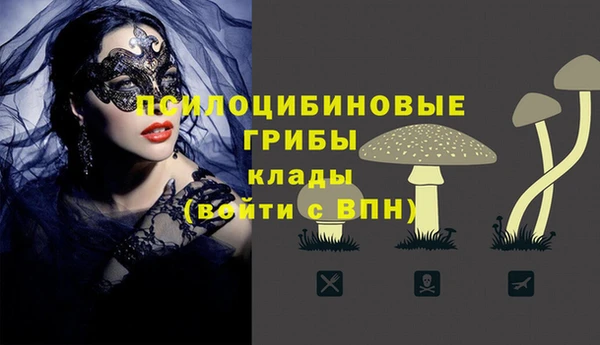 стаф Волосово