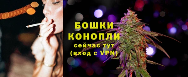 стаф Волосово