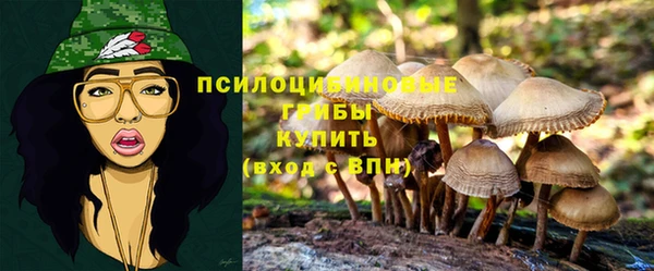 стаф Волосово