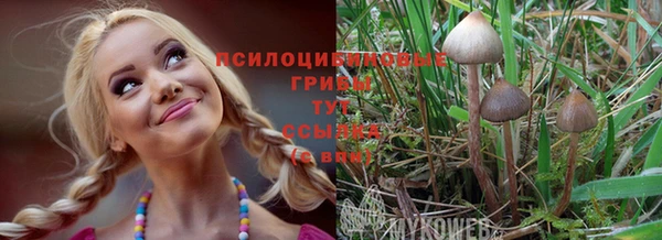 первитин Володарск