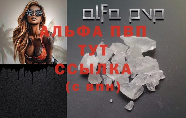 стаф Волосово